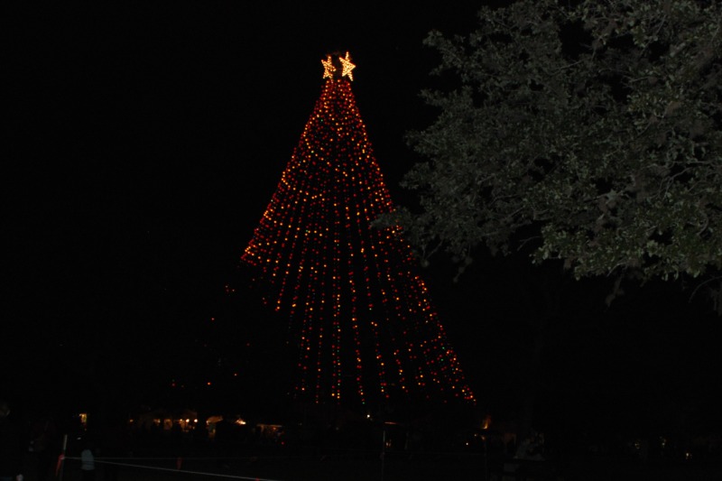 2013/2013 Christmas/800x600_2013-12-20 19-35-13 Trail of Lights.jpg